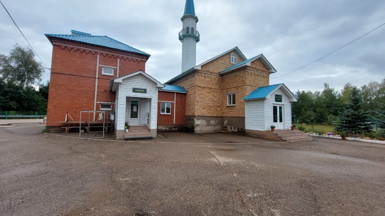 Gallery image 8