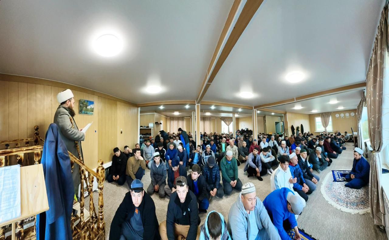 Gallery image 8