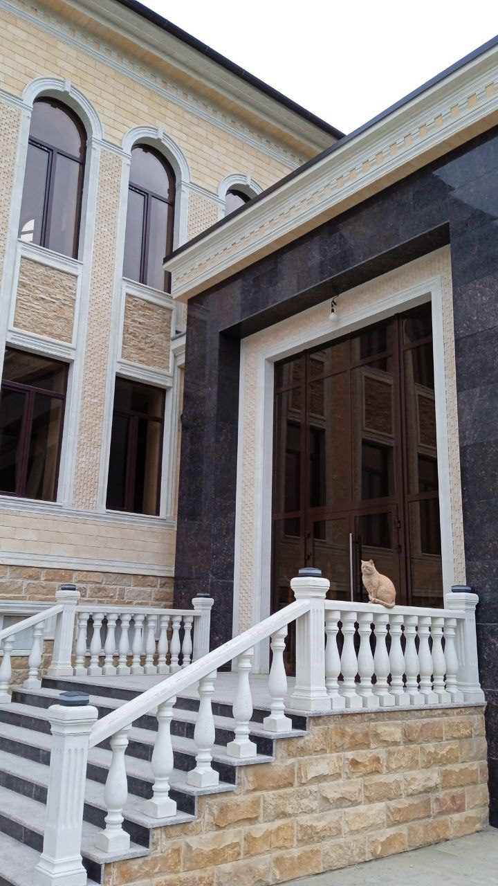 Gallery image 7