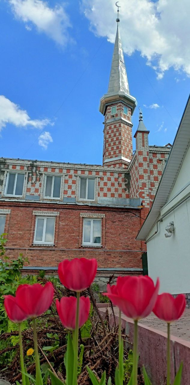 Gallery image 11