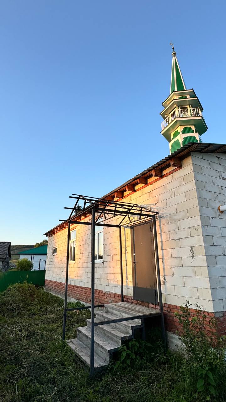 Gallery image 7