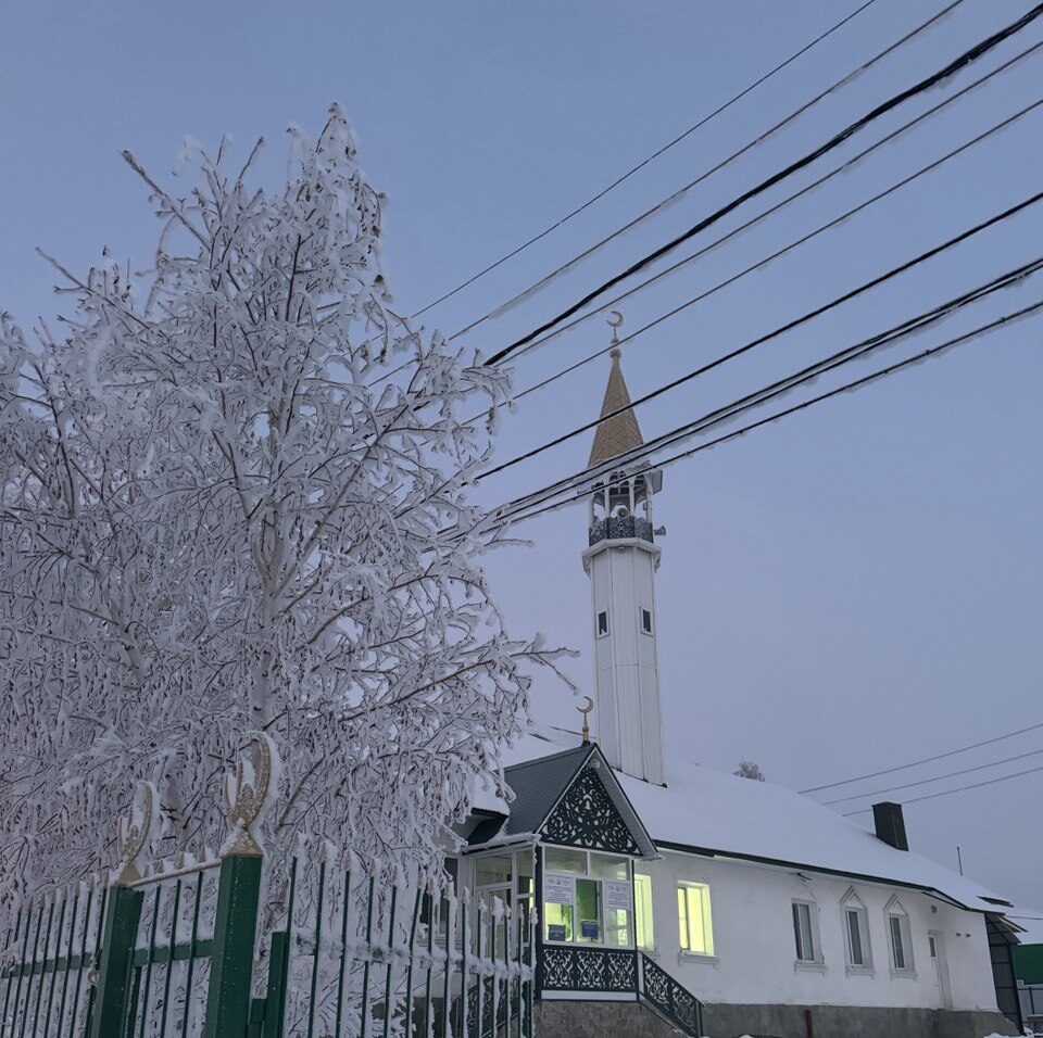 Gallery image 1