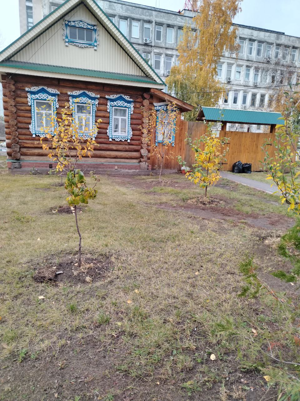 Gallery image 8