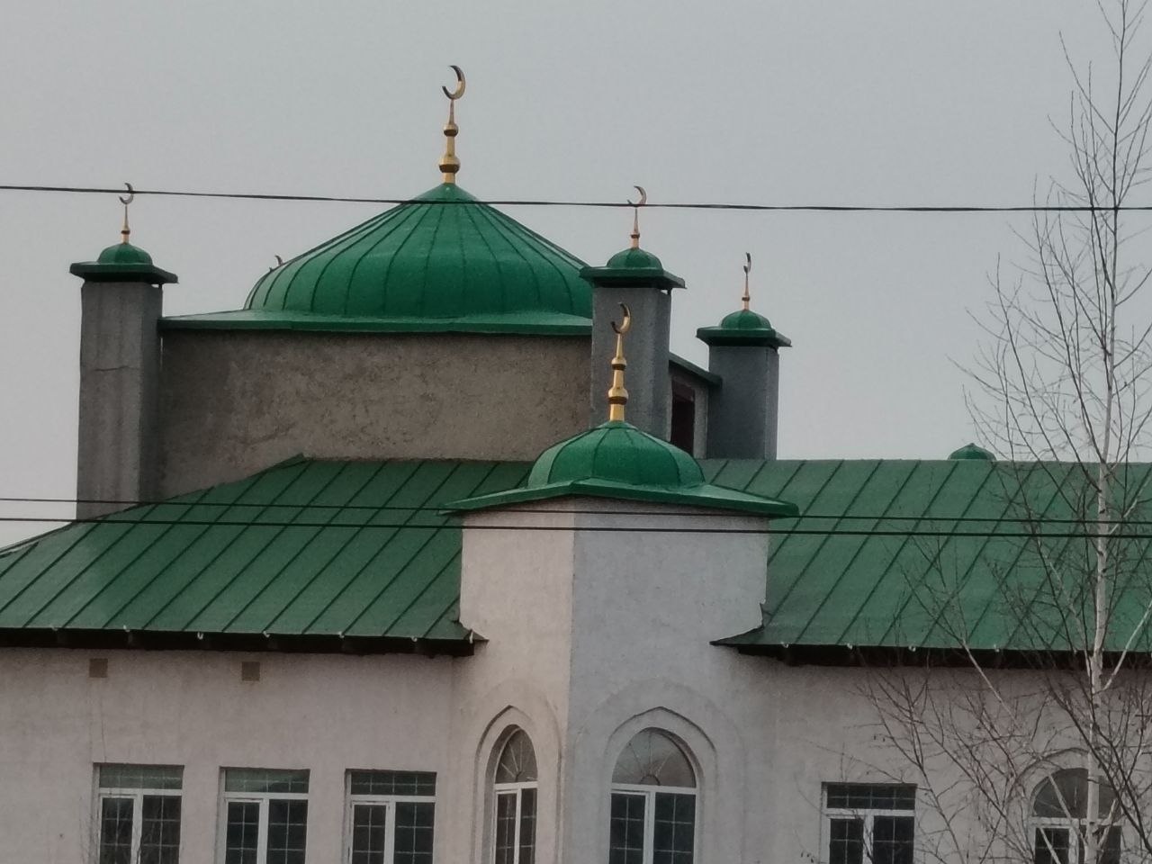 Gallery image 2