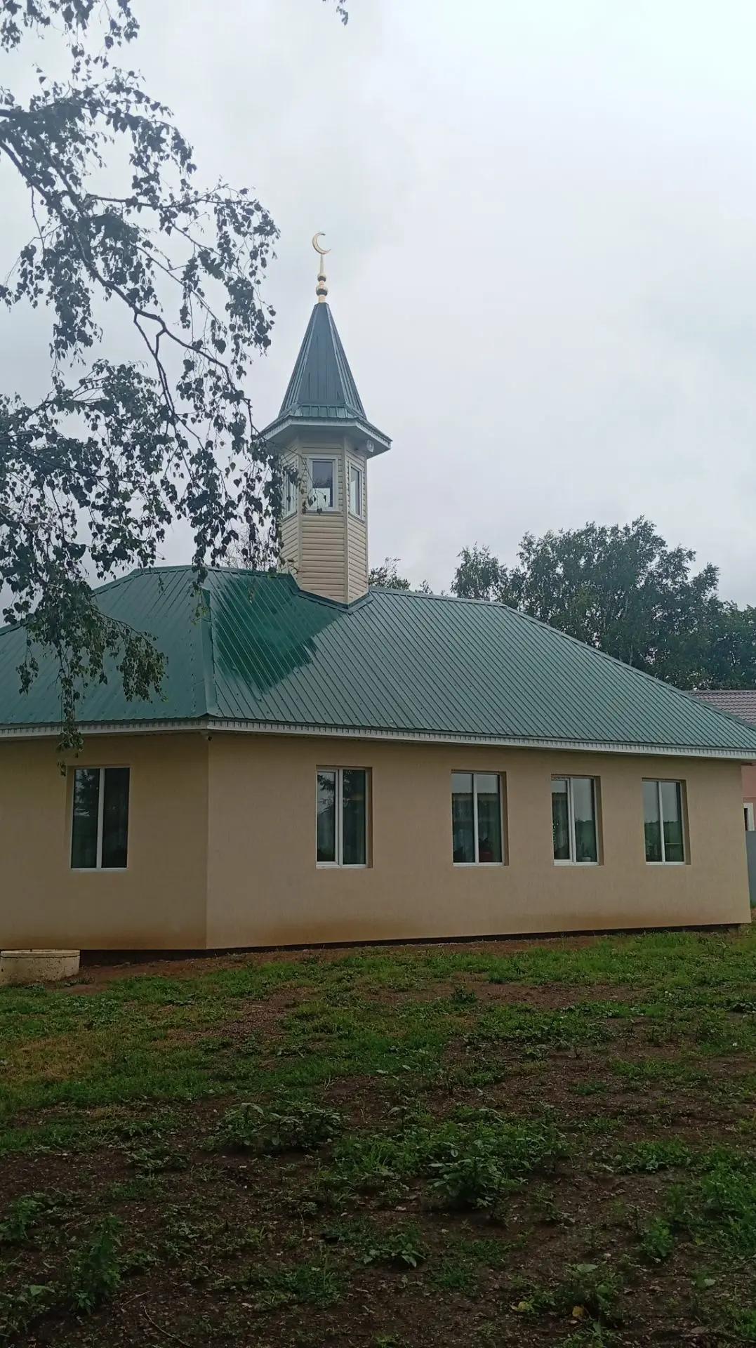 Gallery image 10