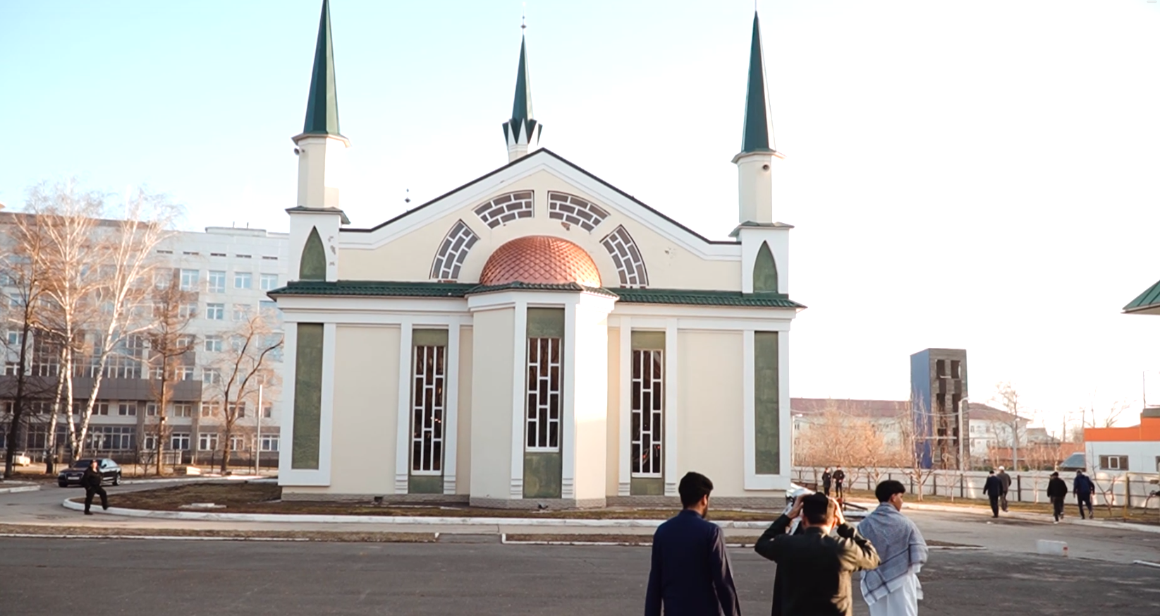Gallery image 14